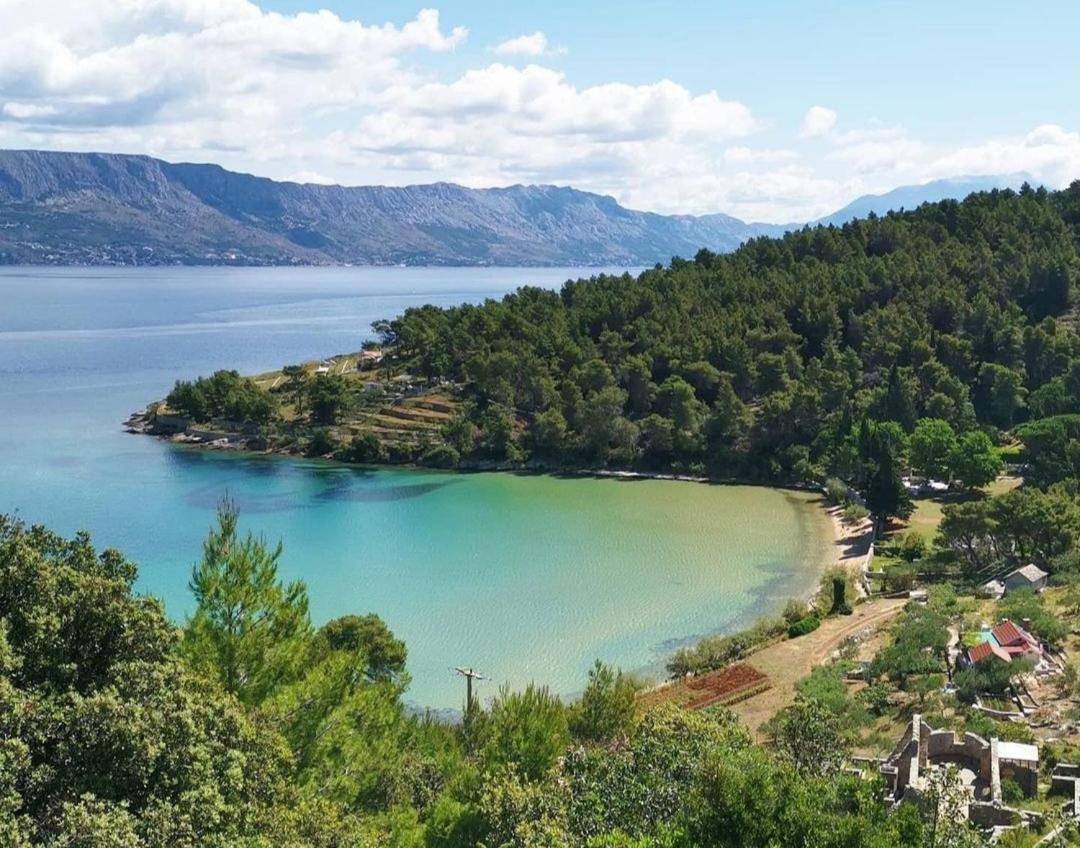 Apartments4You Supetar-The Best And Most Popular Apartments For Discovering The Island - Free Parking - 200 Meters From The Beach Eksteriør billede